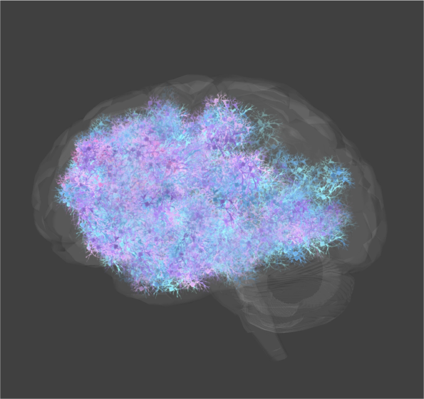 Brain visualization from the Sattyananda research archive