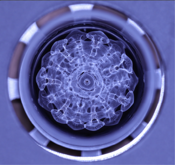 Cymatic water pattern from the Sattyananda research archive
